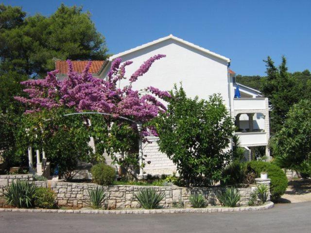 Apartments Sarah Medvinjak Luaran gambar
